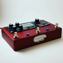 Rehouse Your Boss DD20 Pedal