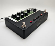 Rehouse Your Boss RE20 Pedal