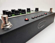 Rehouse Your Boss RE20 Pedal