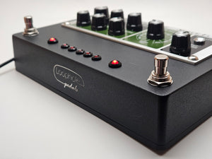 Rehouse Your Boss RE20 Pedal – Loophole Pedals