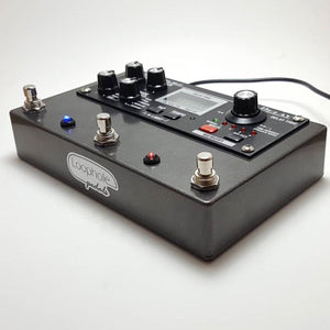 Rehouse Your Boss DD20 Pedal