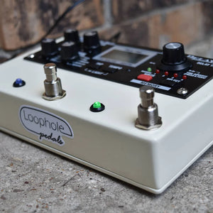 Rehouse Your Boss DD20 Pedal – Loophole Pedals Rehouse Your Boss DD20 Pedal – Loophole Pedals