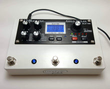 Rehouse Your Boss DD20 Pedal
